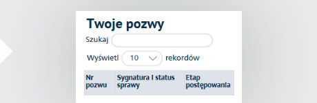 NOWY, WYGODNY SPOSÓB NA SPRAWY W EPU